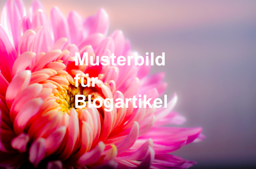 musterbild_fuer_blogartikel musterbild_fuer_blogartikel